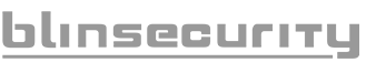 BLINSECURITY-LOGO-WEB.png